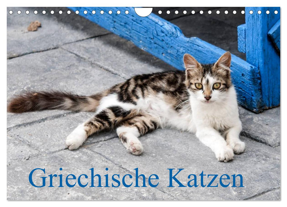 Griechische Katzen (CALVENDO Wandkalender 2025)