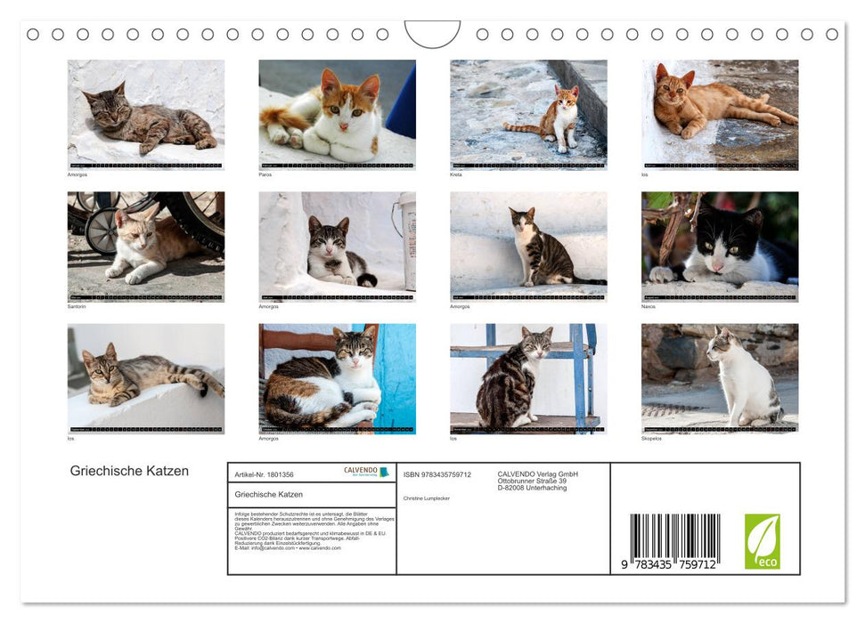 Griechische Katzen (CALVENDO Wandkalender 2025)