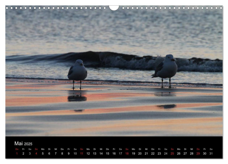 Sylt 2025 (CALVENDO Wandkalender 2025)