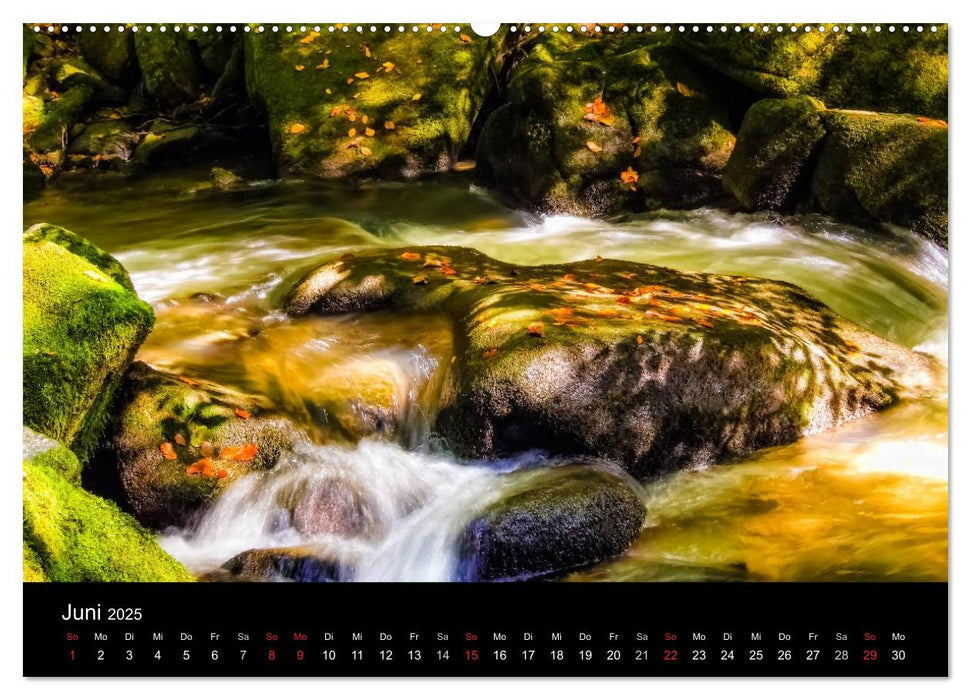 Wasser (CALVENDO Premium Wandkalender 2025)