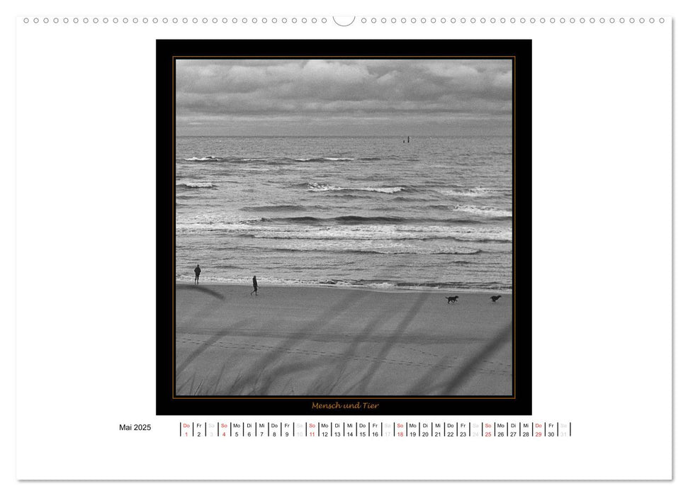 Wangerooge in Fine Art (CALVENDO Premium Wandkalender 2025)