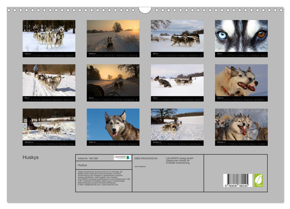 Huskys (CALVENDO Wandkalender 2025)