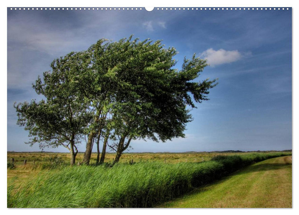 Borkum (CALVENDO Wandkalender 2025)