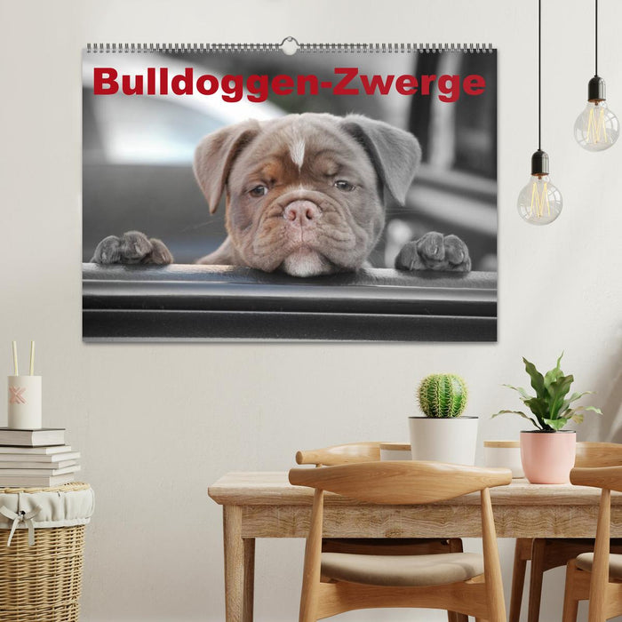 Bulldoggen-Zwerge (CALVENDO Wandkalender 2025)