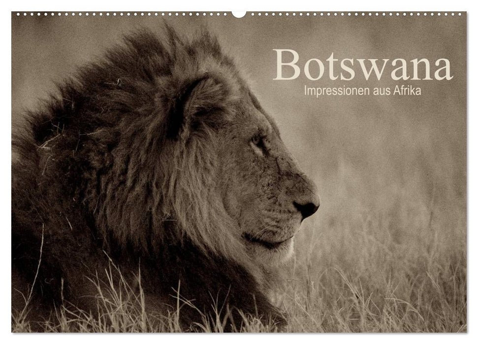 Botswana – Impressionen aus Afrika (CALVENDO Wandkalender 2025)