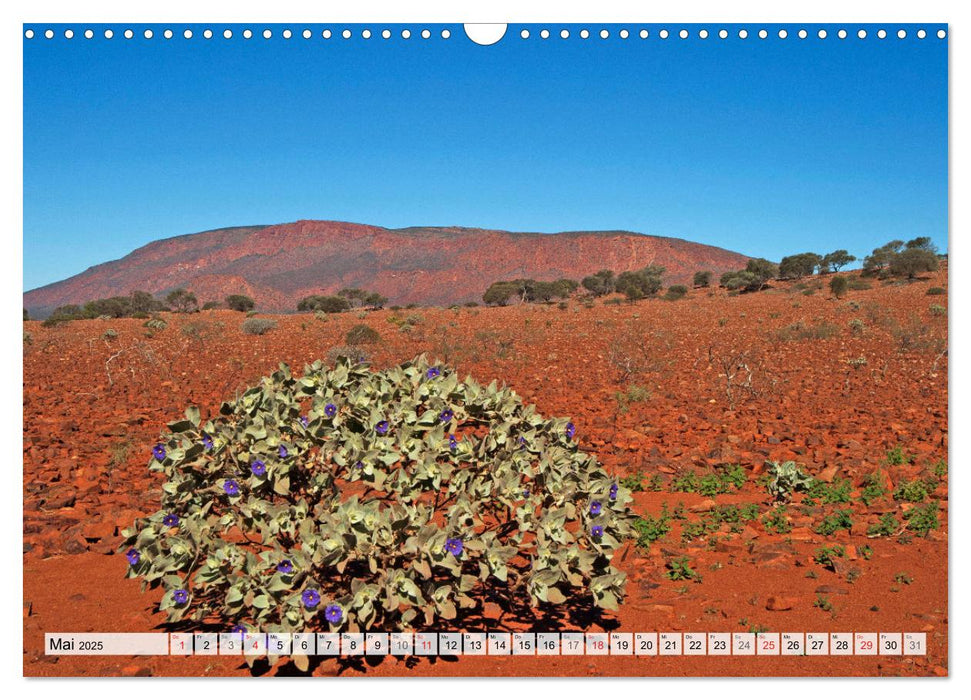 Australien - Faszination Outback (CALVENDO Wandkalender 2025)