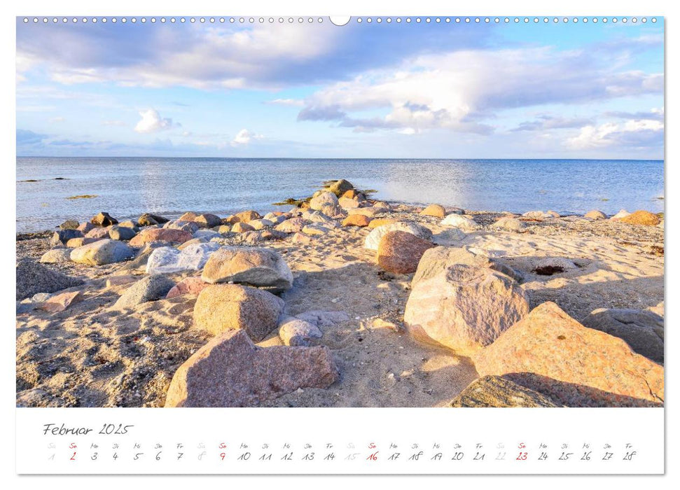 "Landarzt" - Plätze an Schlei und Ostsee (CALVENDO Premium Wandkalender 2025)