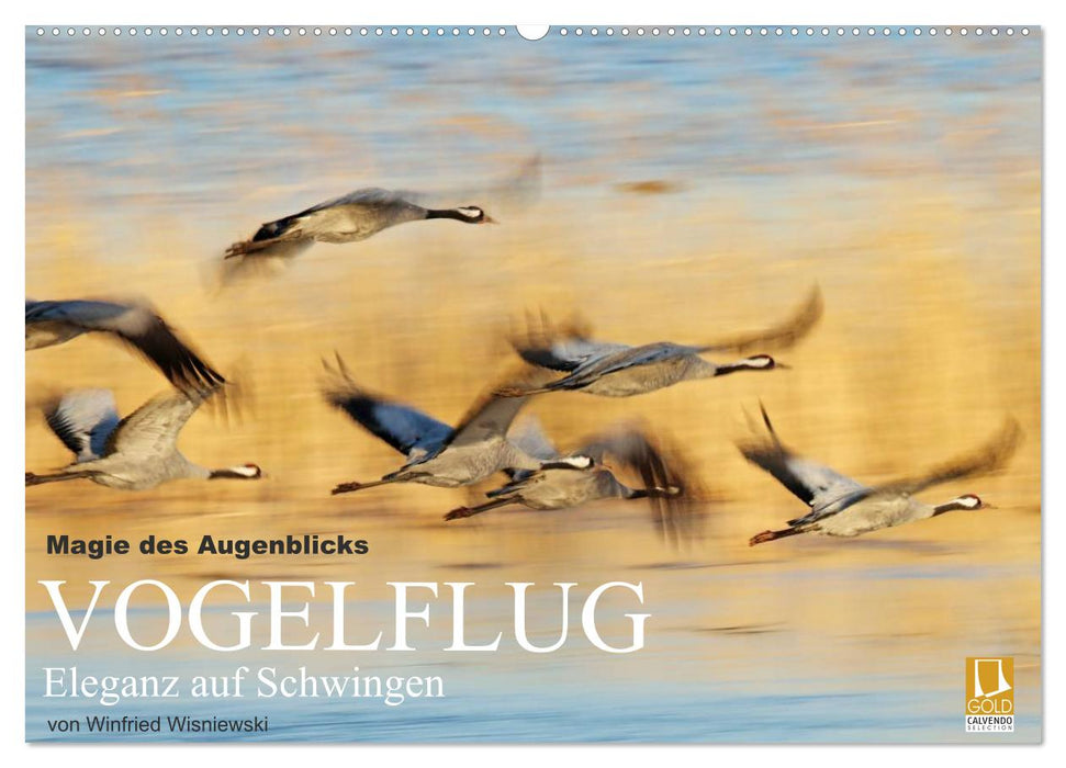 Magie des Augenblicks - Vogelflug - Eleganz auf Schwingen (CALVENDO Wandkalender 2025)