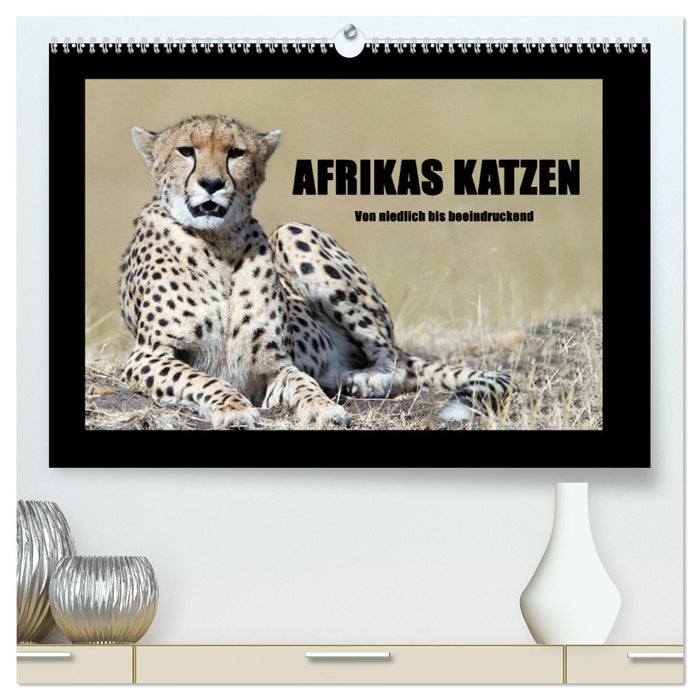 Afrikas Katzen (CALVENDO Premium Wandkalender 2025)