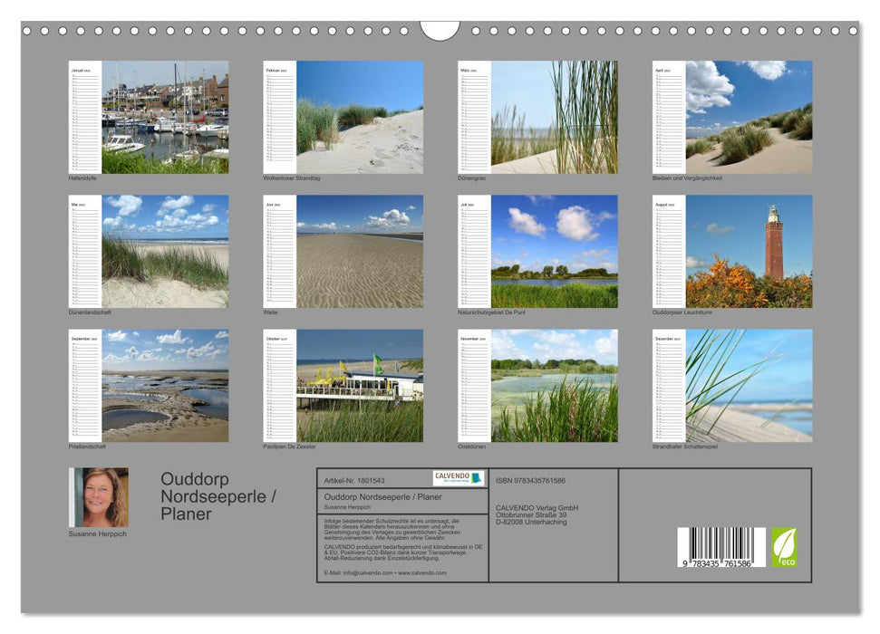 Ouddorp Nordseeperle / Planer (CALVENDO Wandkalender 2025)