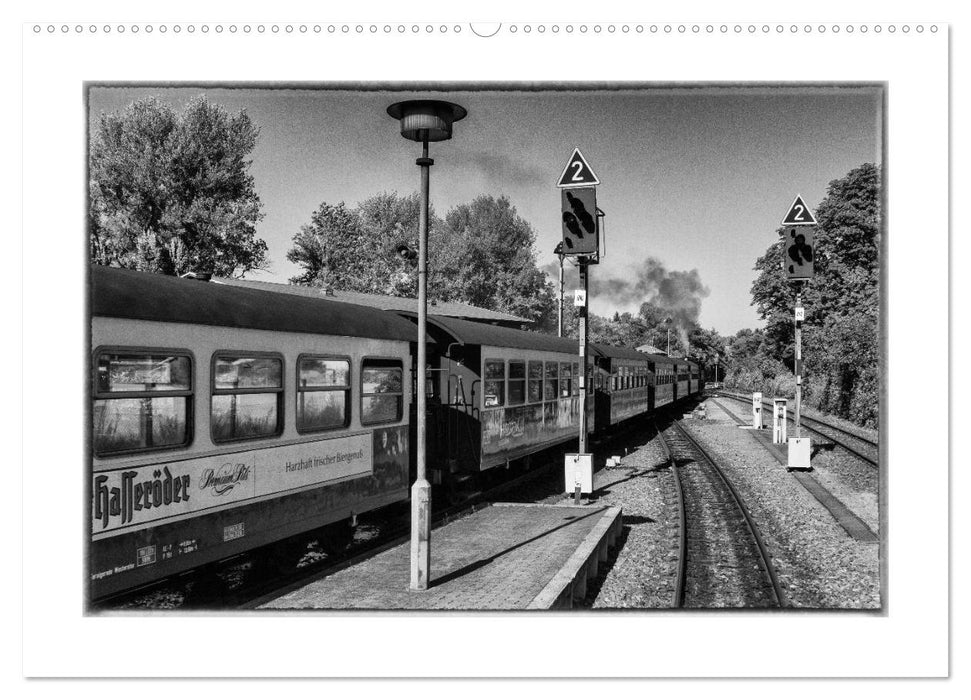 Unter Dampf - Eisenbahnromantik im Harz (CALVENDO Premium Wandkalender 2025)