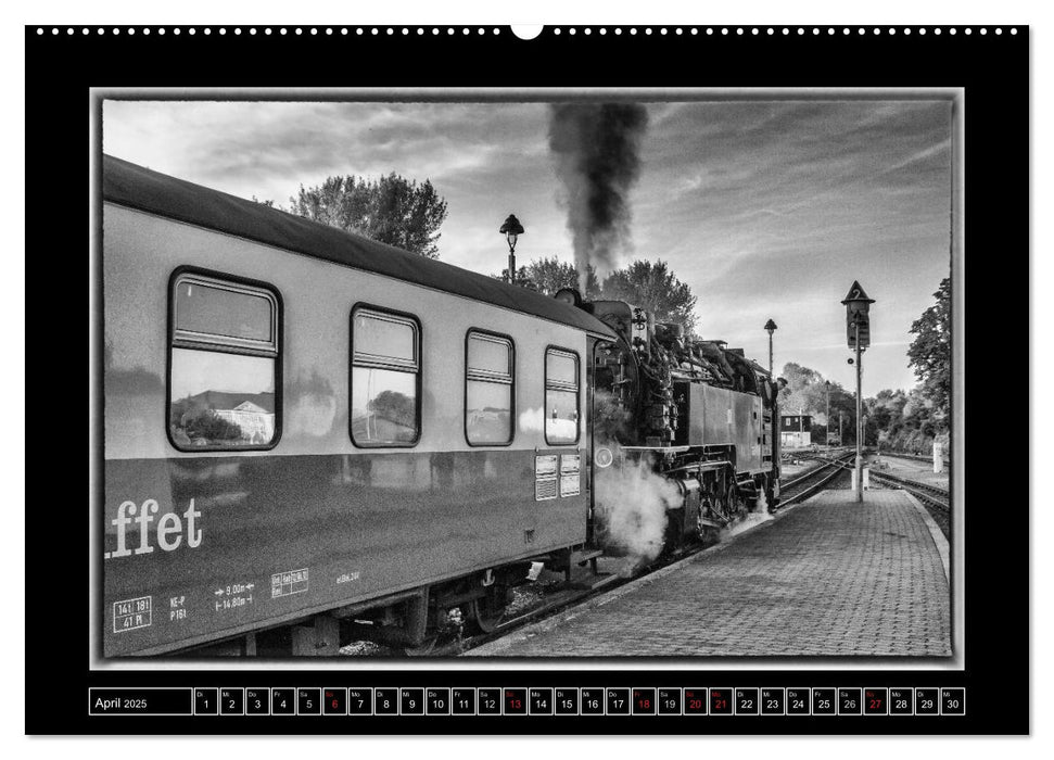 Unter Dampf - Eisenbahnromantik im Harz (CALVENDO Premium Wandkalender 2025)