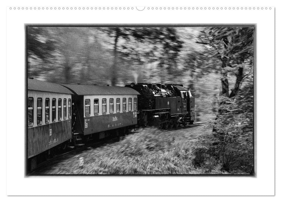 Unter Dampf - Eisenbahnromantik im Harz (CALVENDO Premium Wandkalender 2025)