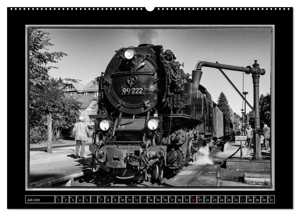 Unter Dampf - Eisenbahnromantik im Harz (CALVENDO Premium Wandkalender 2025)