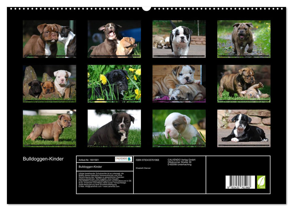 Bulldoggen-Kinder (CALVENDO Premium Wandkalender 2025)