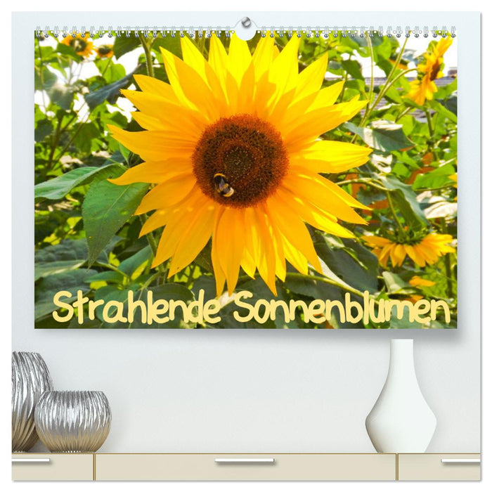 Strahlende Sonnenblumen / CH - Version (CALVENDO Premium Wandkalender 2025)