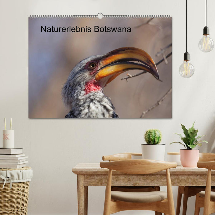 Naturerlebnis Botswana (CALVENDO Wandkalender 2025)