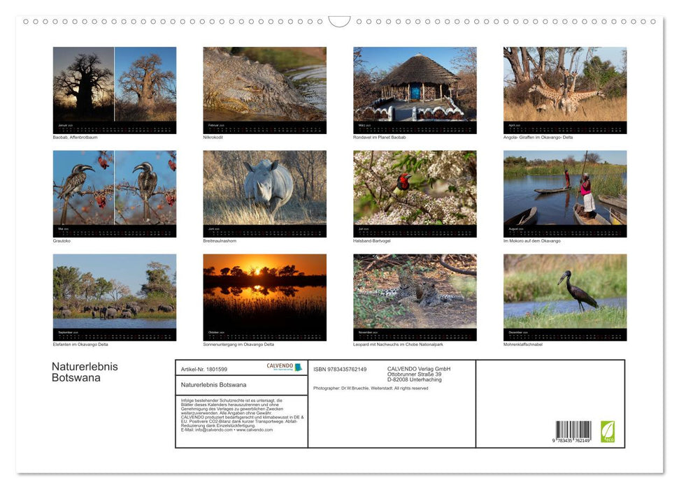 Naturerlebnis Botswana (CALVENDO Wandkalender 2025)