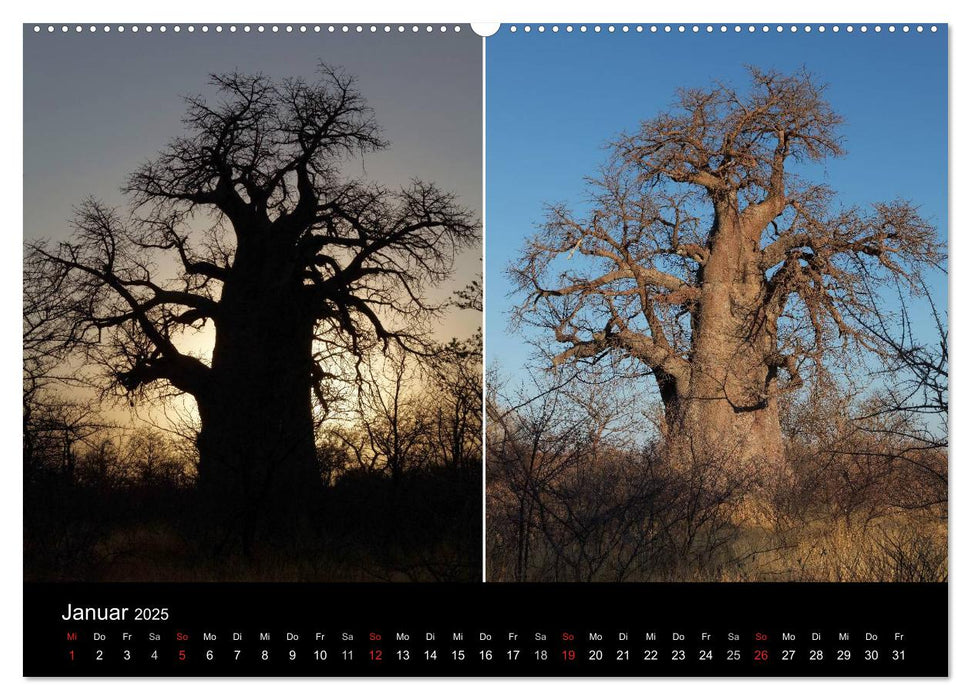 Naturerlebnis Botswana (CALVENDO Wandkalender 2025)