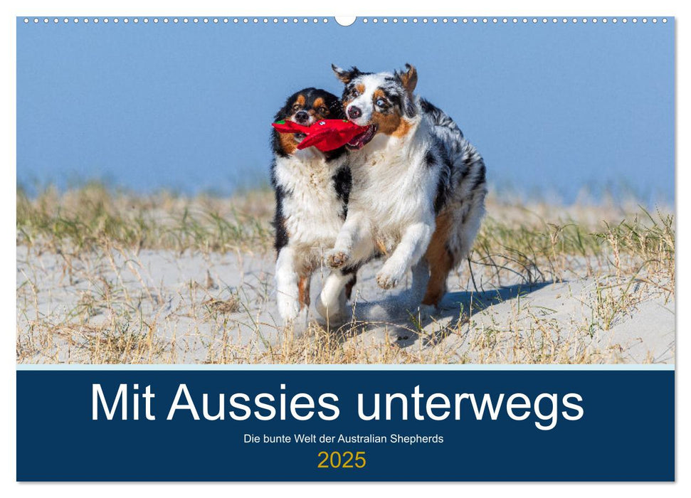 Mit Aussies unterwegs - Die bunte Welt der Australian Shepherds (CALVENDO Wandkalender 2025)