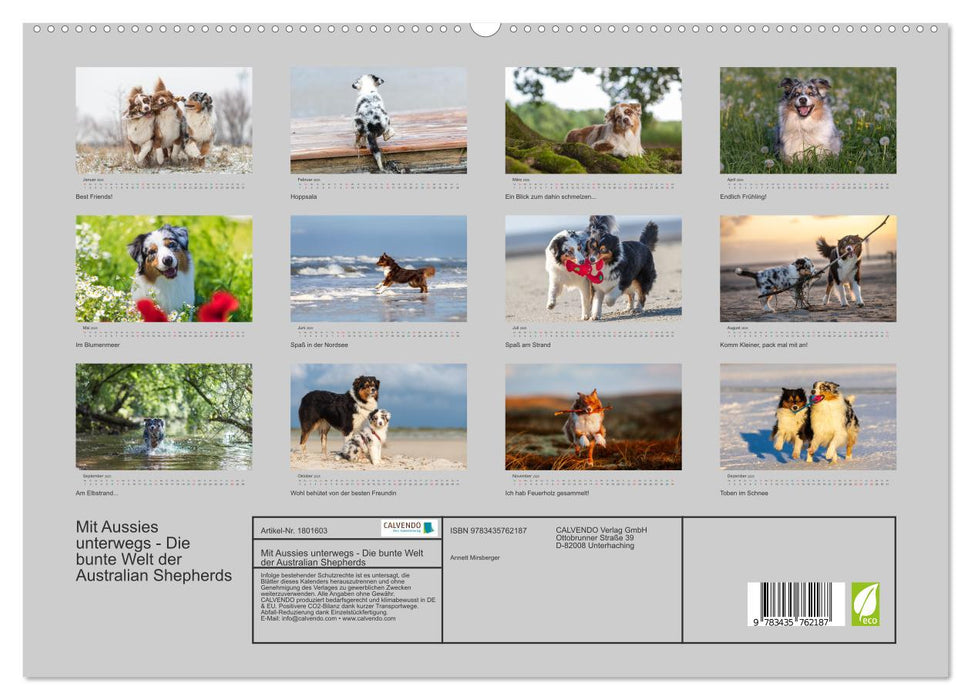 Mit Aussies unterwegs - Die bunte Welt der Australian Shepherds (CALVENDO Wandkalender 2025)