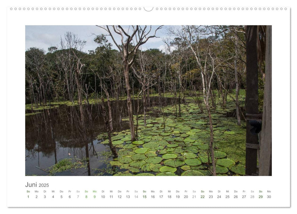 Amazonas, eine Reise entlang seiner Ufer (CALVENDO Premium Wandkalender 2025)