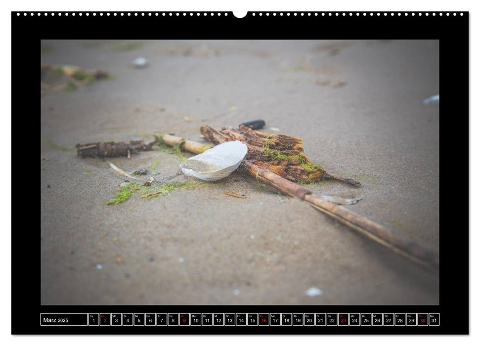 Usedom - Träume einer Insel (CALVENDO Wandkalender 2025)