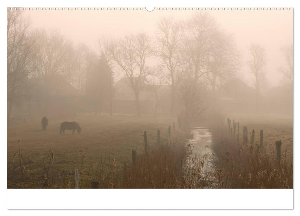 Nordsee Träumereien (CALVENDO Premium Wandkalender 2025)