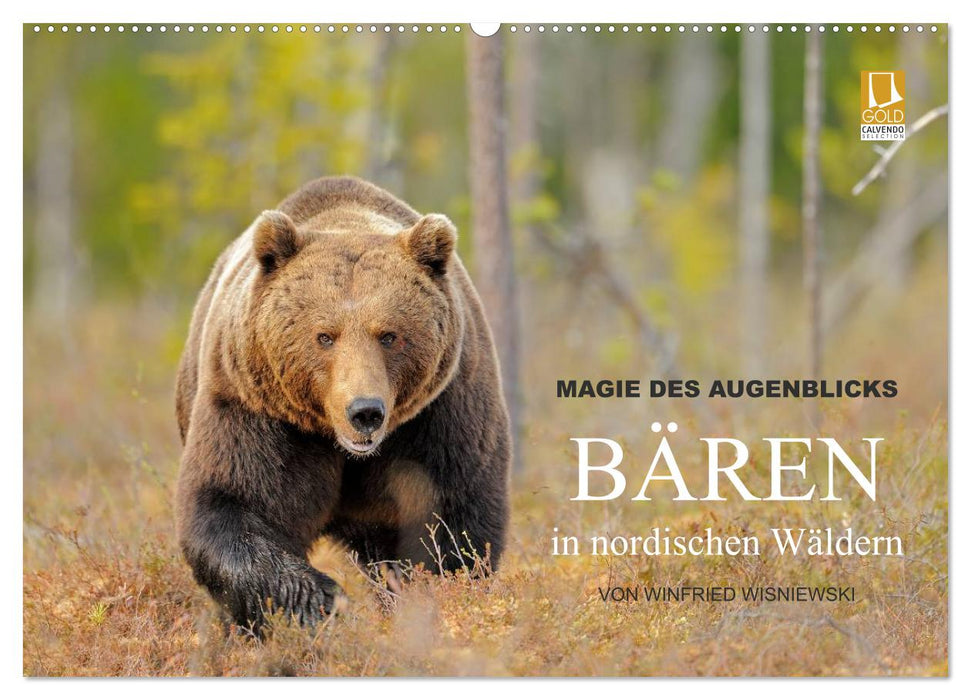 Magie des Augenblicks - Bären in nordischen Wäldern (CALVENDO Wandkalender 2025)