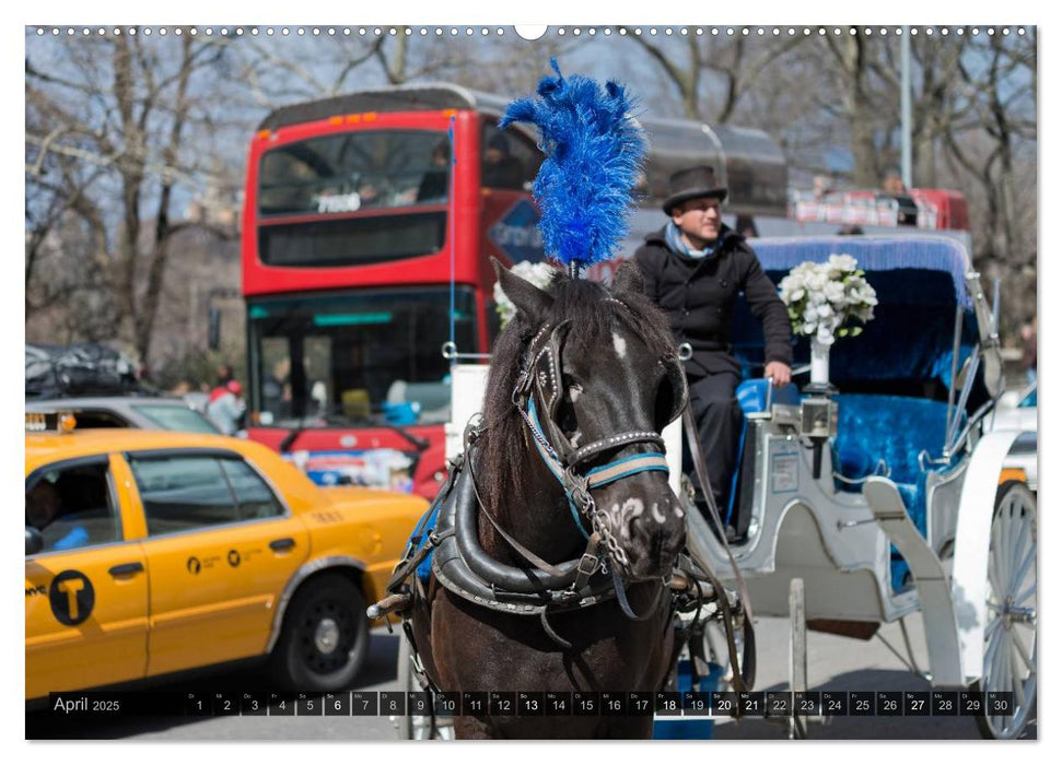 New York (CALVENDO Wandkalender 2025)