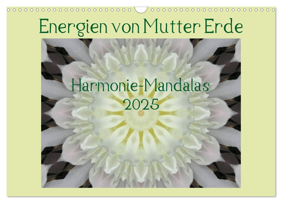 Energien von Mutter Erde (CALVENDO Wandkalender 2025)