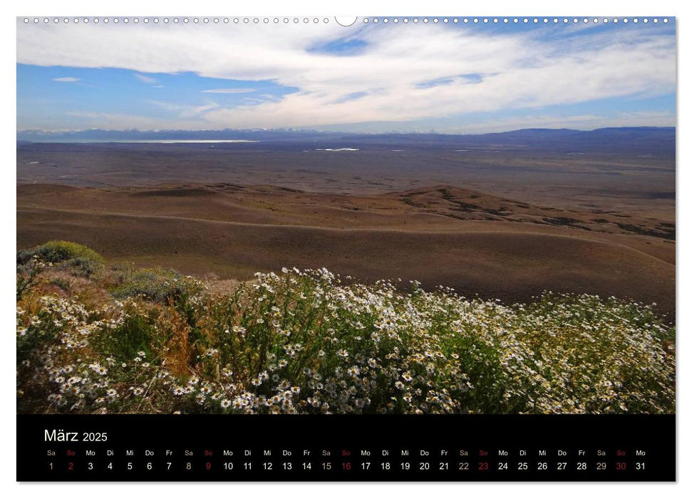 Im Nationalpark Torres del Paine (Chile) (CALVENDO Premium Wandkalender 2025)