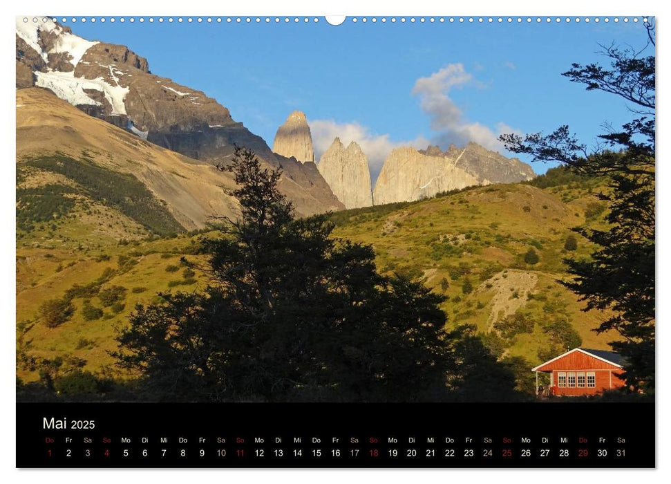 Im Nationalpark Torres del Paine (Chile) (CALVENDO Premium Wandkalender 2025)