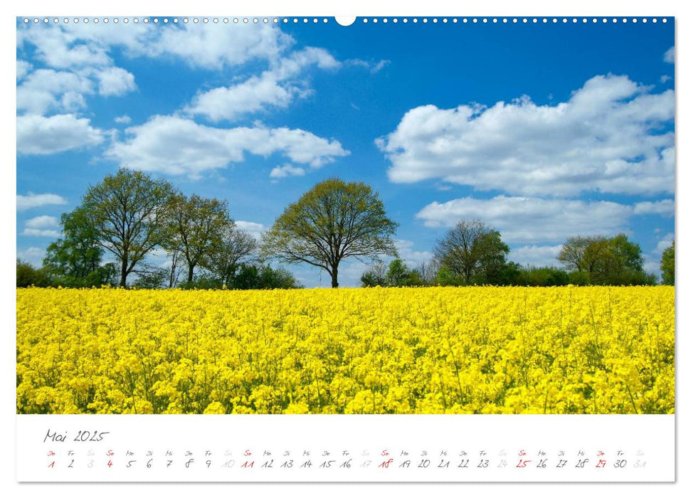 "Landarzt" - Plätze an Schlei und Ostsee (CALVENDO Wandkalender 2025)