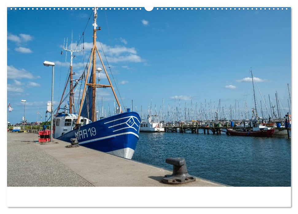 "Landarzt" - Plätze an Schlei und Ostsee (CALVENDO Wandkalender 2025)