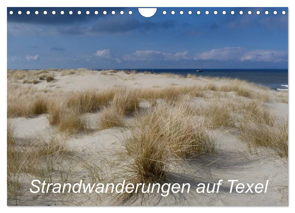 Strandwanderungen auf Texel (CALVENDO Wandkalender 2025)