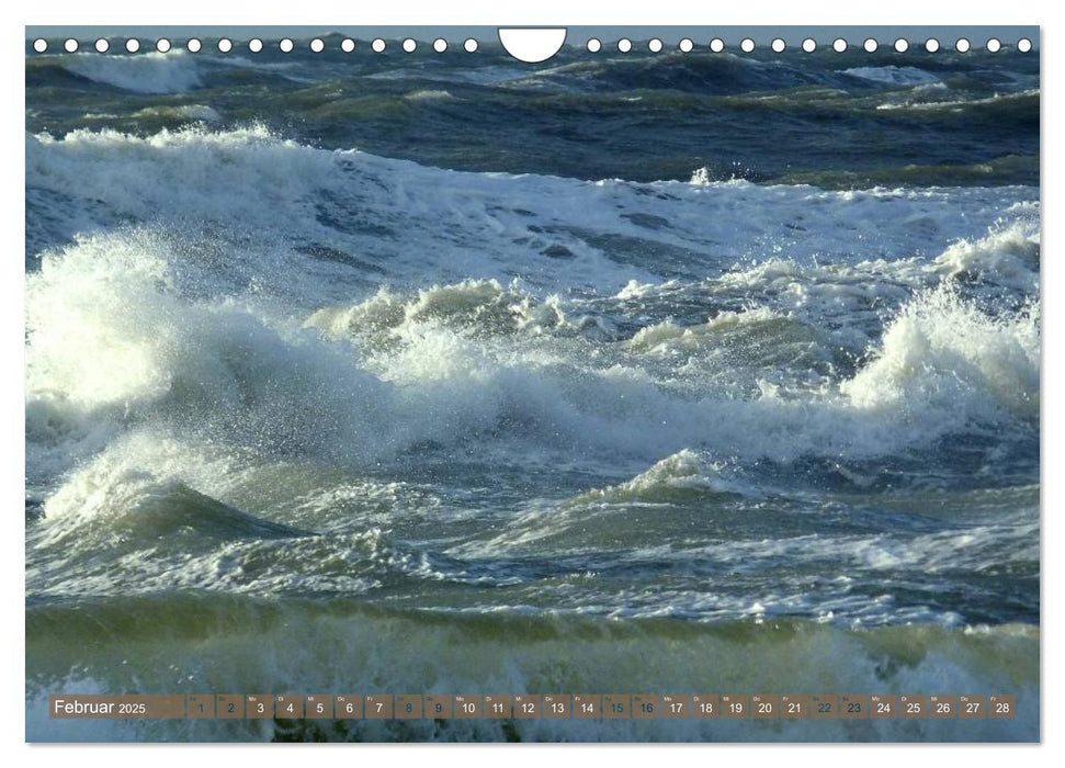 Strandwanderungen auf Texel (CALVENDO Wandkalender 2025)