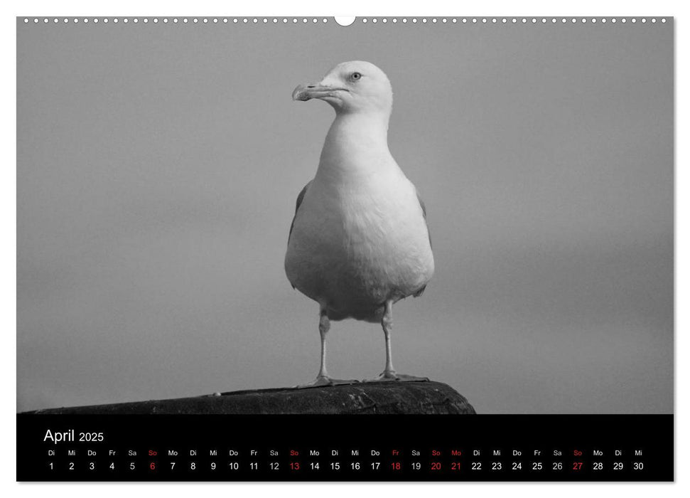 Willkommen in Cuxhaven (CALVENDO Wandkalender 2025)