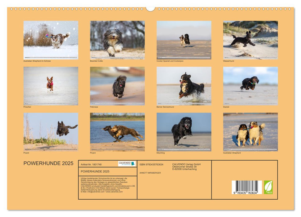 POWERHUNDE 2025 (CALVENDO Premium Wandkalender 2025)