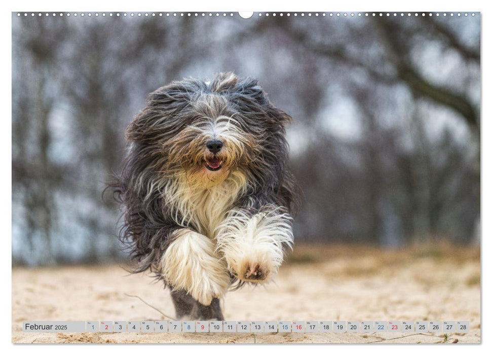 POWERHUNDE 2025 (CALVENDO Premium Wandkalender 2025)