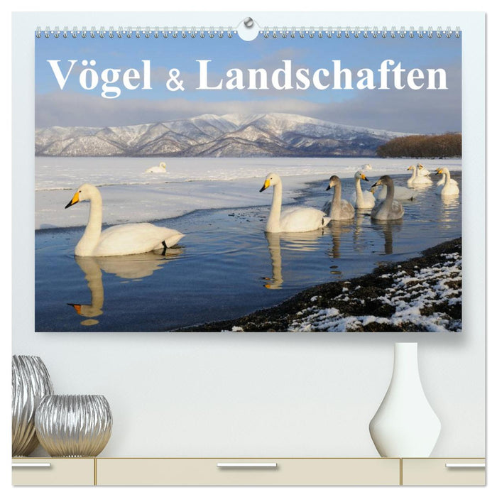 Vögel & Landschaften (CALVENDO Premium Wandkalender 2025)