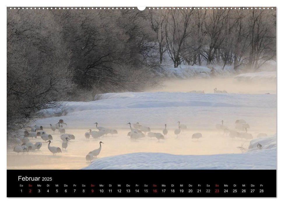 Vögel & Landschaften (CALVENDO Premium Wandkalender 2025)