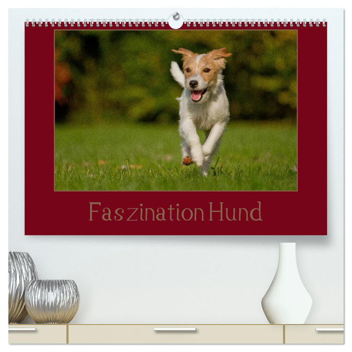 Faszination Hund (CALVENDO Premium Wandkalender 2025)