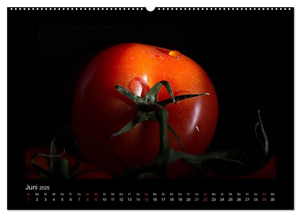 Rot (CALVENDO Premium Wandkalender 2025)