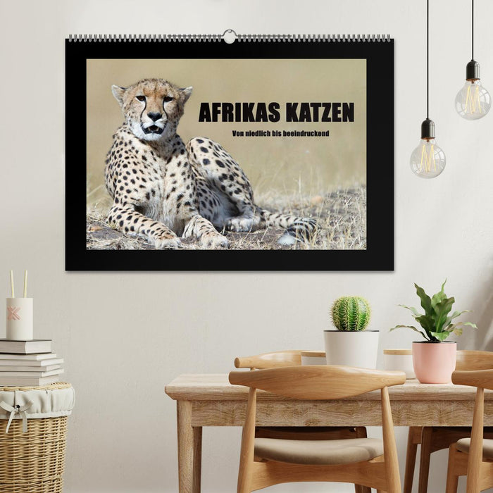 Afrikas Katzen (CALVENDO Wandkalender 2025)