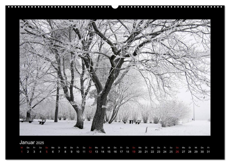 Taunus (CALVENDO Premium Wandkalender 2025)