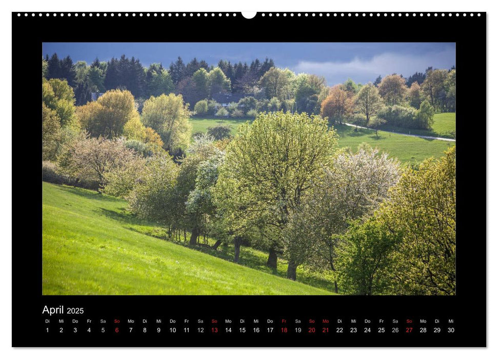 Taunus (CALVENDO Premium Wandkalender 2025)