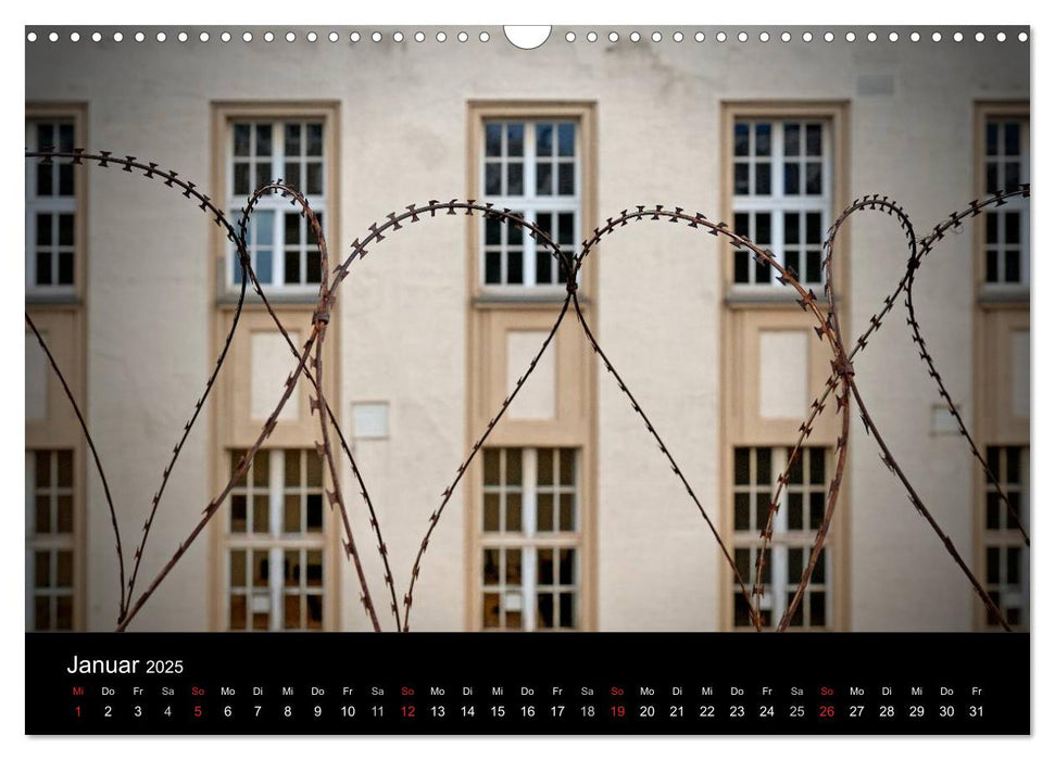 Hinter Gittern (CALVENDO Wandkalender 2025)