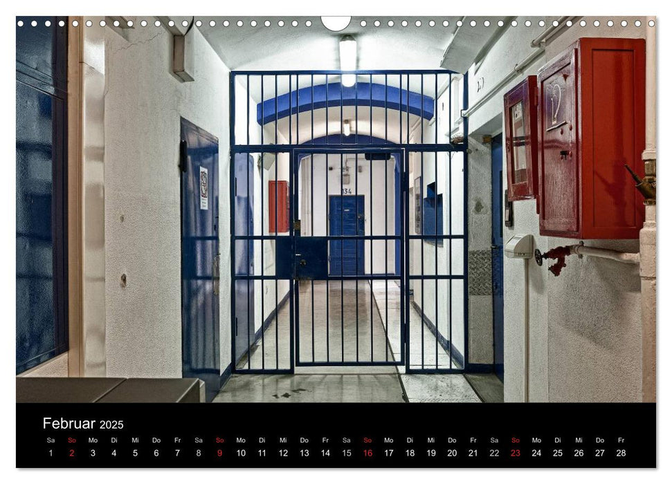 Hinter Gittern (CALVENDO Wandkalender 2025)