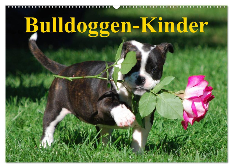 Bulldoggen-Kinder (CALVENDO Wandkalender 2025)